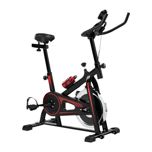 Fortis 22lb Flywheel Spin Bike